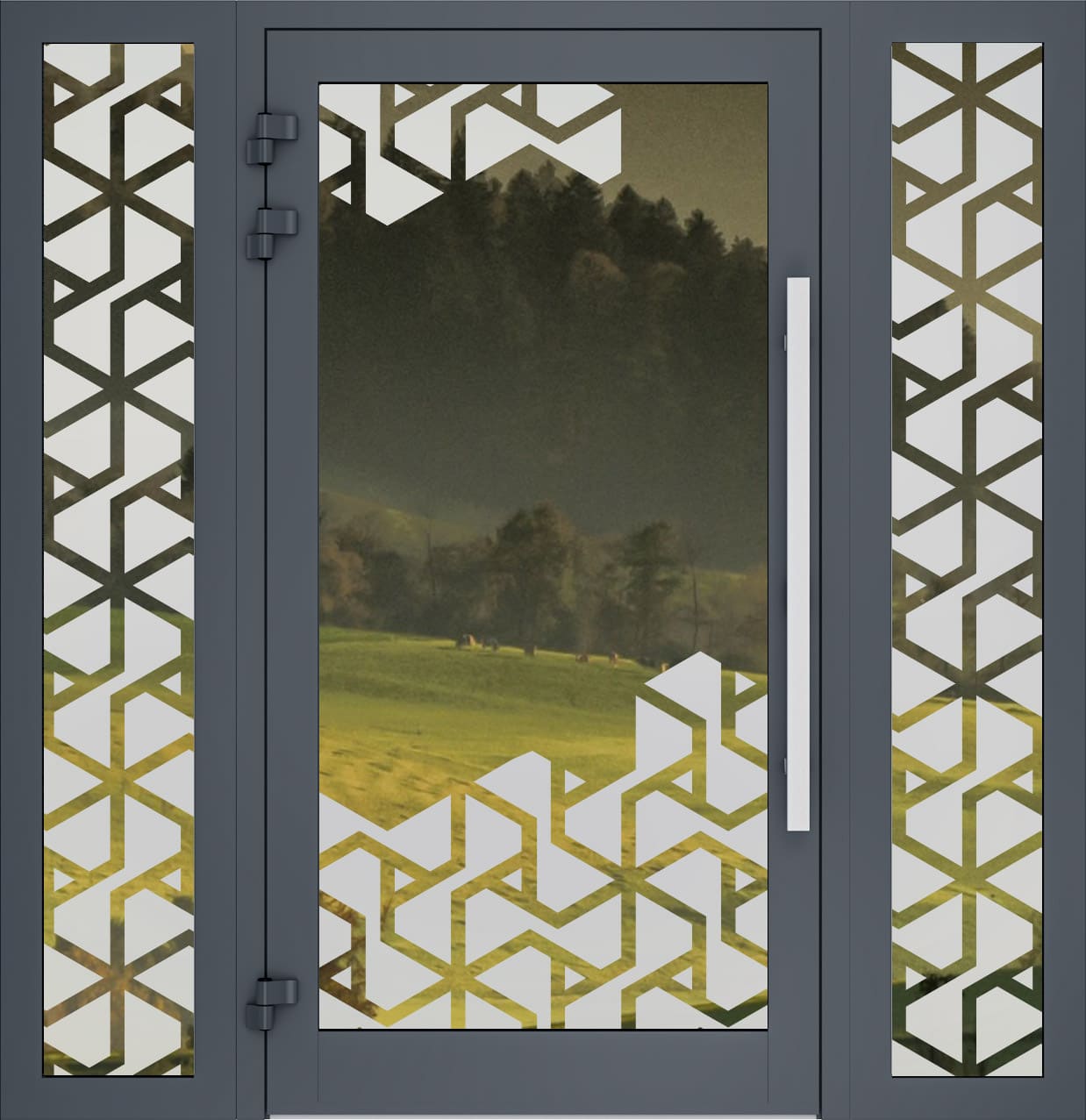 Porte d'entrés vitrés sablée 07